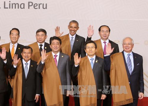 viet nam dang cai apec 2017