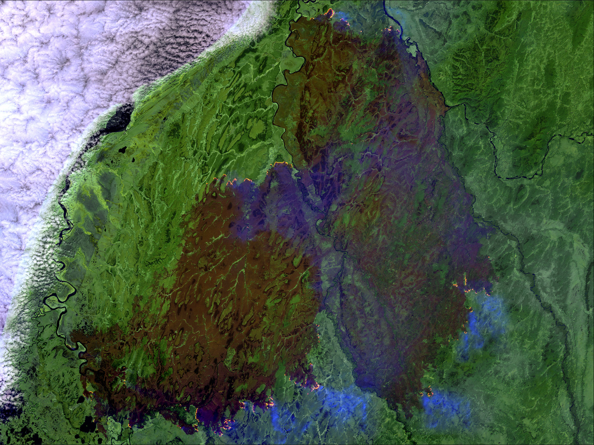 nasa tung bo anh ve su thay doi chong mat cua trai dat khien ca the gioi phai lo lang cho tuong lai