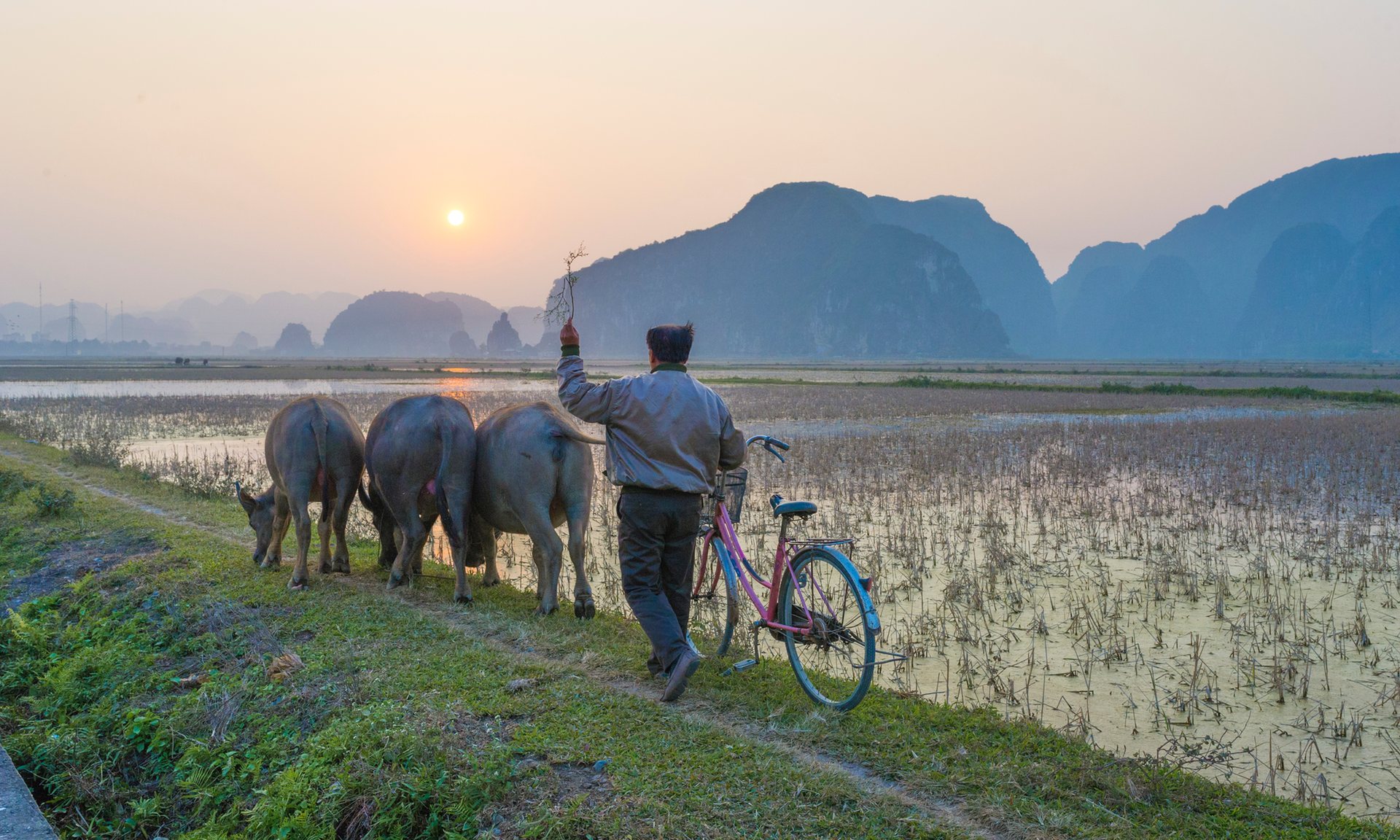 khach tay chia se nhung dieu nen lam khi du lich viet nam