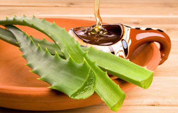 uong nuoc ep lo hoi lieu co the giup chung ta giam can khong