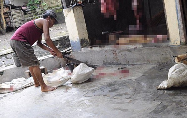 khung canh man ro trong khu trai thit cho nhu dia nguc tran gian tai indonesia