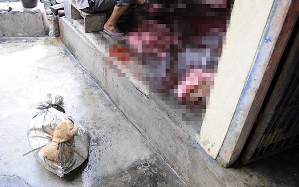 khung canh man ro trong khu trai thit cho nhu dia nguc tran gian tai indonesia