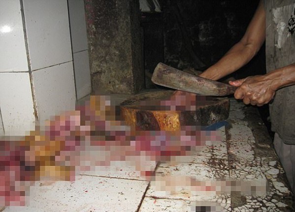 khung canh man ro trong khu trai thit cho nhu dia nguc tran gian tai indonesia