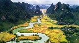 cao bang dua giai phap han che tinh trang vuot bien di lao dong chui o ben kia bien gioi