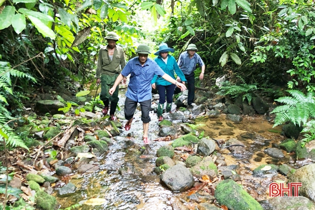 chuong trinh un redd bao ve rung cai thien sinh ke cho nguoi dan ha tinh