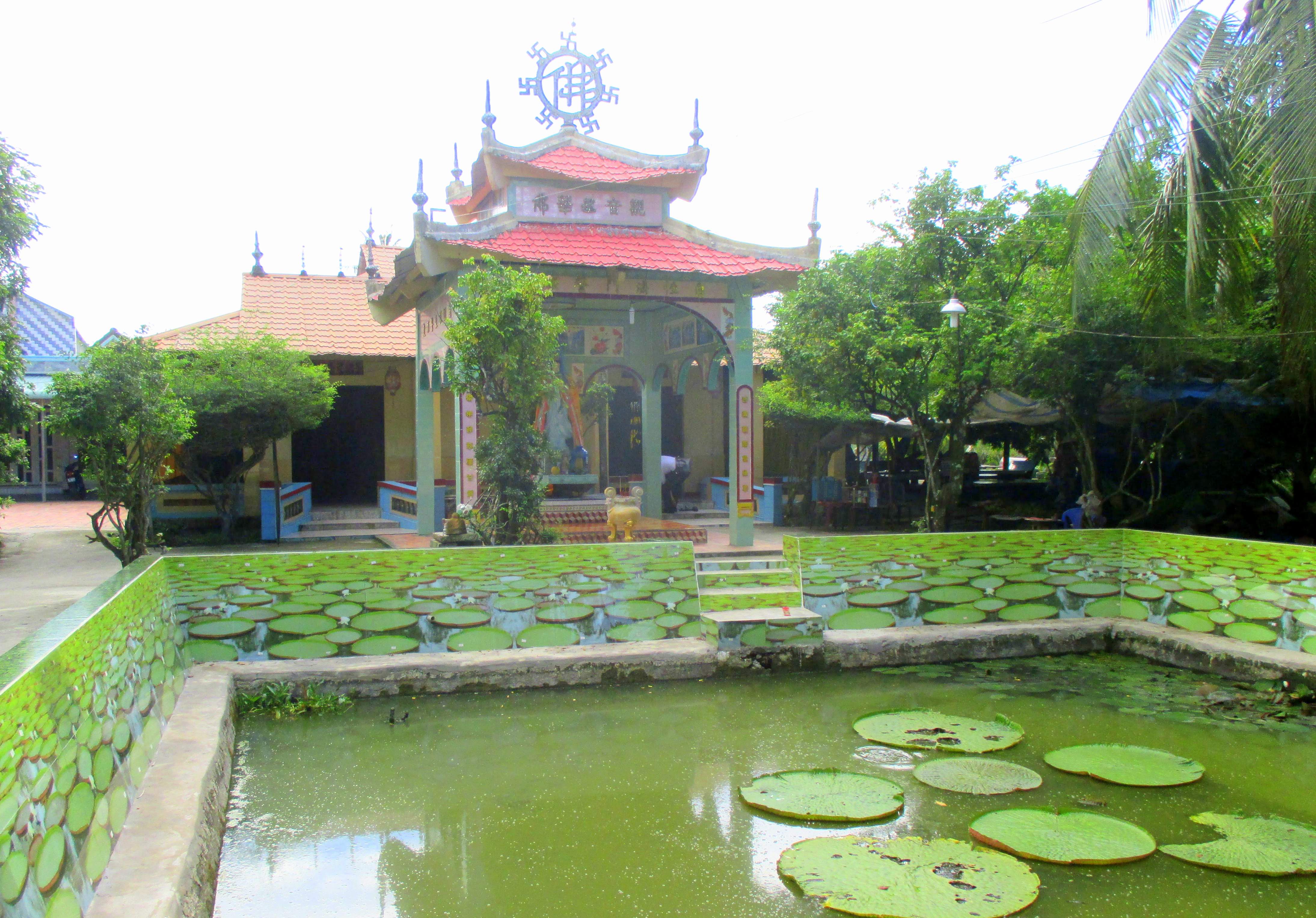 doc dao sen la o mien tay cong duoc nguoi tren mat nuoc
