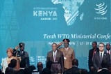 viet nam cam ket la thanh vien tich cuc va co trach nhiem cua wto