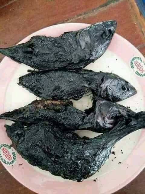 cuoi rung ron voi nhung pha mat nao cua hoi me bim sau sinh ca kho hoa ca thui rom tuong ot thanh tuong than