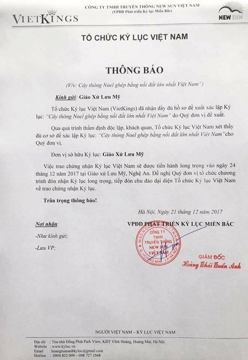 cay thong noel ghep bang 6000 noi dat o nghe an duoc xac lap ky luc viet nam
