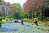 oxfam phat trien ben vung va toan dien chuoi gia tri tre tai thanh hoa