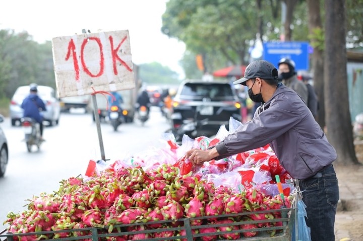 Thanh long từng phải được người dân Băng vệ sinh làm từ vỏ thanh long - Ý tưởng trị giá 100.000 USD của ba nữ sinh Việt