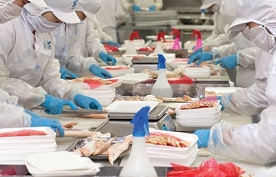 Более 1000 кодов сельскохозяйственных продуктов и продуктов водного промысла из Вьетнама экспортируются в Китай