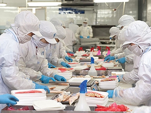 Более 1000 кодов сельскохозяйственных продуктов и продуктов водного промысла из Вьетнама экспортируются в Китай