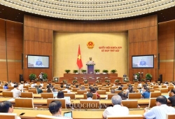 bao cao chinh phu trinh qh thach thuc kinh te kho luong suy thoai dao duc