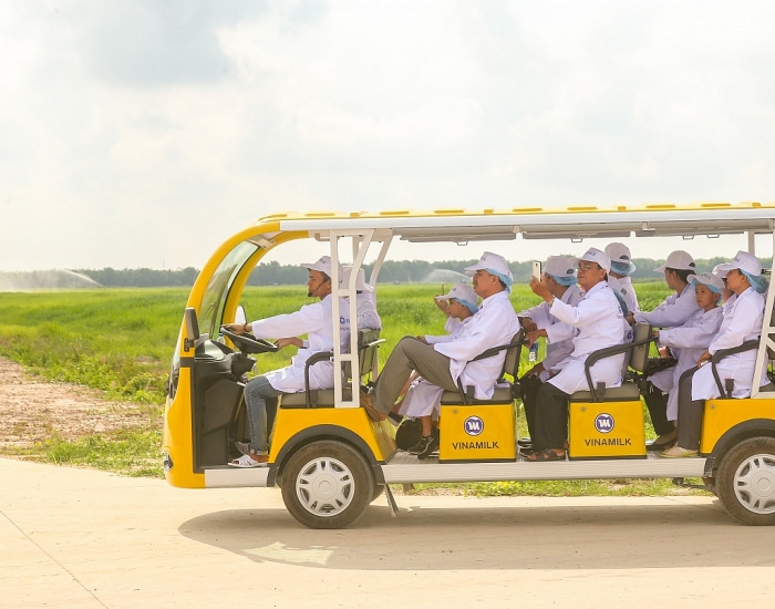 Tận mắt thấy những cô bò ở "Resort" góp công vào ly sữa học đường tan mat thay nhung co bo o resort gop cong vao ly sua hoc duong