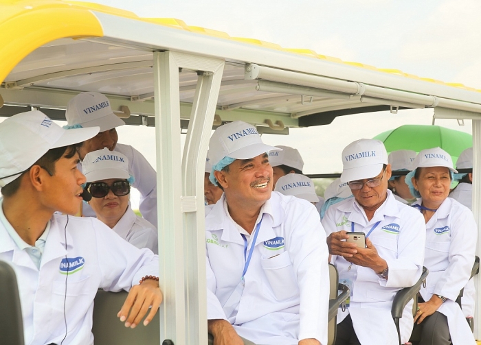 Tận mắt thấy những cô bò ở "Resort" góp công vào ly sữa học đường tan mat thay nhung co bo o resort gop cong vao ly sua hoc duong