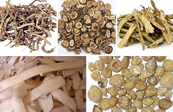 Trị gan nhiễm mỡ bằng y học cổ truyền tri gan nhiem mo bang y hoc co truyen