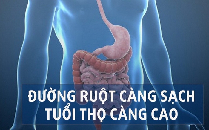 Thải độc ruột bằng phương pháp tự nhiên thai doc ruot bang nhung phuong phap tu nhien