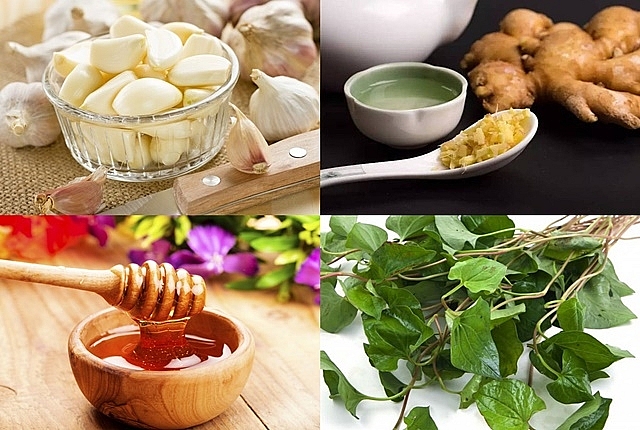 Những loại kháng sinh tự nhiên giúp phòng và trị bệnh hiệu quả nhung loai khang sinh tu nhien giup phong va tri benh hieu qua