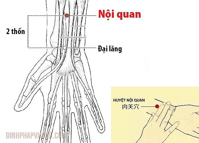 Hướng dẫn cách bấm huyệt chữa chứng thiếu máu não, nguy cơ đột quỵ chi tiết nhất huong dan cach bam huyet chua chung thieu mau nao nguy co dot quy chi tiet nhat