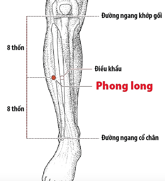 Hướng dẫn cách bấm huyệt chữa chứng thiếu máu não, nguy cơ đột quỵ chi tiết nhất huong dan cach bam huyet chua chung thieu mau nao nguy co dot quy chi tiet nhat