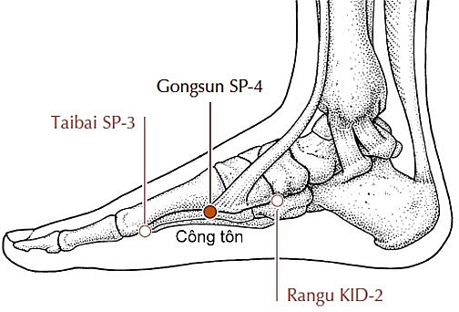 Hướng dẫn cách bấm huyệt chữa chứng thiếu máu não, nguy cơ đột quỵ chi tiết nhất huong dan cach bam huyet chua chung thieu mau nao nguy co dot quy chi tiet nhat