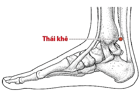 nhung vi tri bam huyet giup gan phoi va than khoe manh