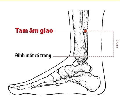 Tiểu máu là gì, nguyên nhân triệu chứng và cách chữa trị? chua tieu mau bang phuong phap bam huyet