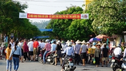 video hai hung trau xong chuong dien cuong tan cong cu gia