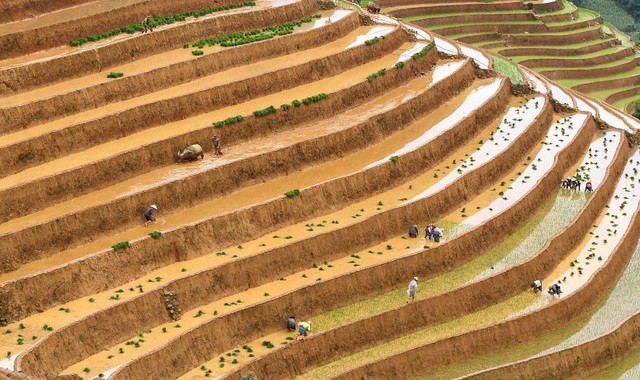 Bốn hình ảnh của Việt Nam lọt vào Những khoảnh khắc đẹp nhất thế giới 2019 bon hinh anh cua viet nam lot vao nhung khoanh khac dep nhat the gioi 2019