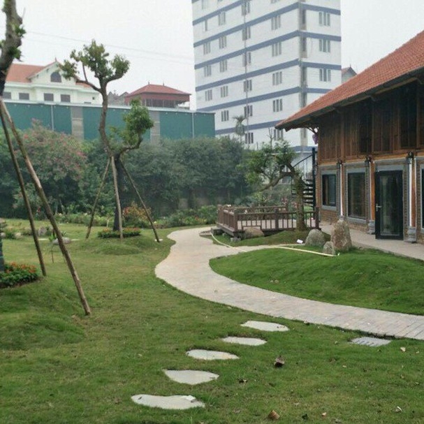 Cơ ngơi hoành tráng của danh hài Xuân Bắc co ngoi hoanh trang cua nghe si hai xuan bac