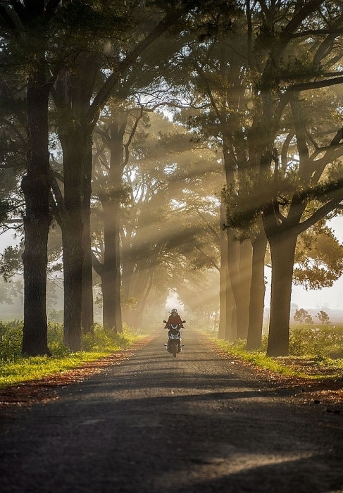 Hai hình ảnh ấn tượng của Việt Nam lọt top 50 #Travel2019 hai hinh anh an tuong cua viet nam lot top 50 travel2019