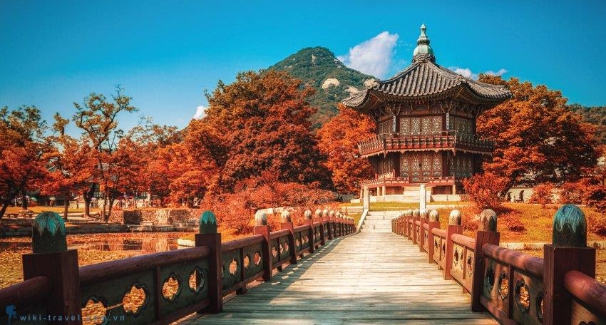 Miễn phí visa Hàn Quốc 3 tháng cuối năm 2019 mien phi visa han quoc 3 thang cuoi nam 2019