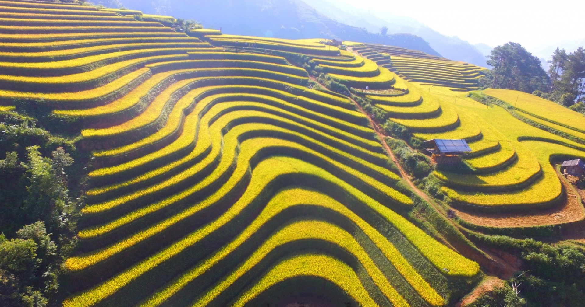 Mù Cang Chải được CNTraveler xếp hạng địa điểm rực rỡ nhất thế giới mu cang chai duoc cntraveler xep hang dia diem ruc ro nhat the gioi