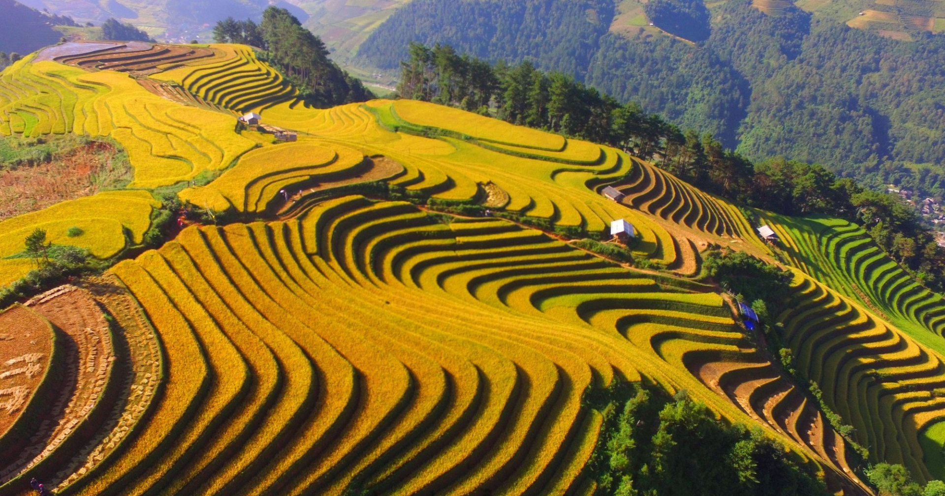 Mù Cang Chải được CNTraveler xếp hạng địa điểm rực rỡ nhất thế giới mu cang chai duoc cntraveler xep hang dia diem ruc ro nhat the gioi