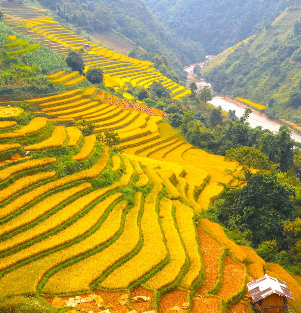 Mù Cang Chải được CNTraveler xếp hạng địa điểm rực rỡ nhất thế giới mu cang chai duoc cntraveler xep hang dia diem ruc ro nhat the gioi