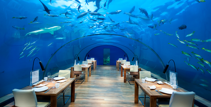 Nhà hàng dưới biển Ithaa, Maldives 4145 nha hang dyyi biyn ithaa maldives