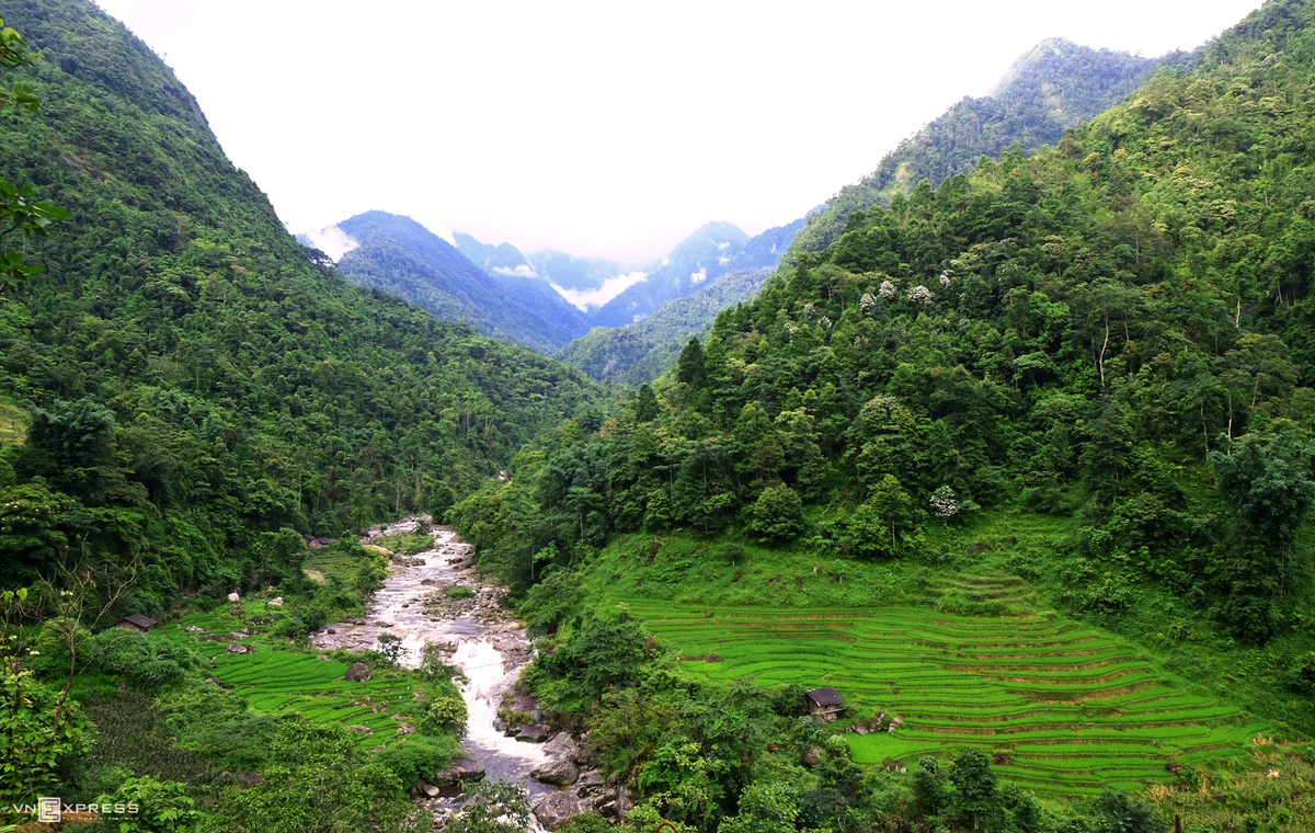 Nam Cang - among Sapa's amazing hidden forest 1034 nc1