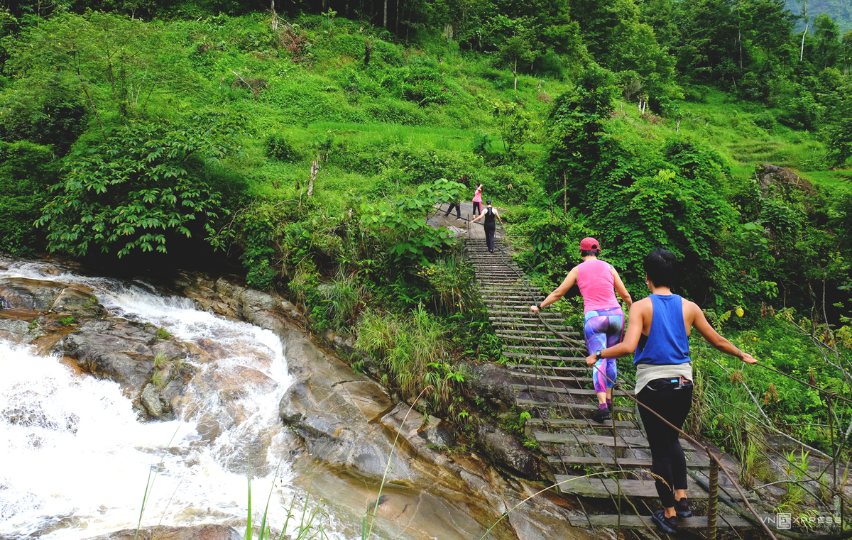 Nam Cang - among Sapa's amazing hidden forest 3247 nc2