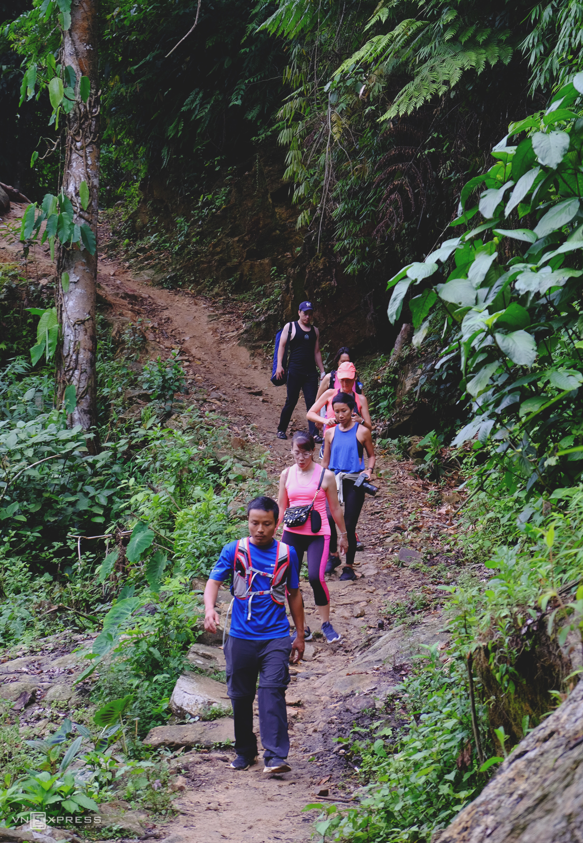 Nam Cang - among Sapa's amazing hidden forest 4301 nc3