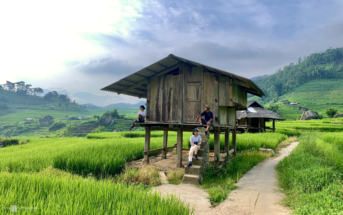 Nam Cang - among Sapa's amazing hidden forest 3033 nc8