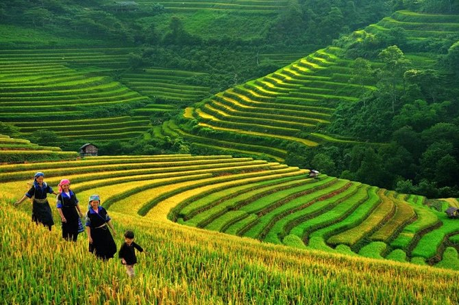Top Vietnam Destinations: The reason why Sa Pa and Ninh Binh named among most attractive destinations in Asia 0355 mh