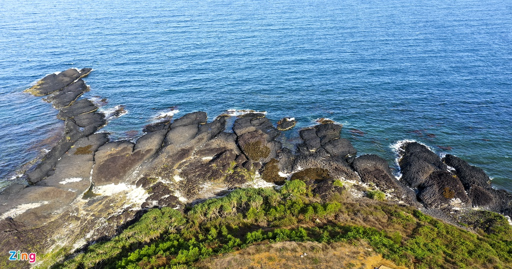 Unique open-air 'coral forest' on the Middle coast of Vietnam 5938 zi