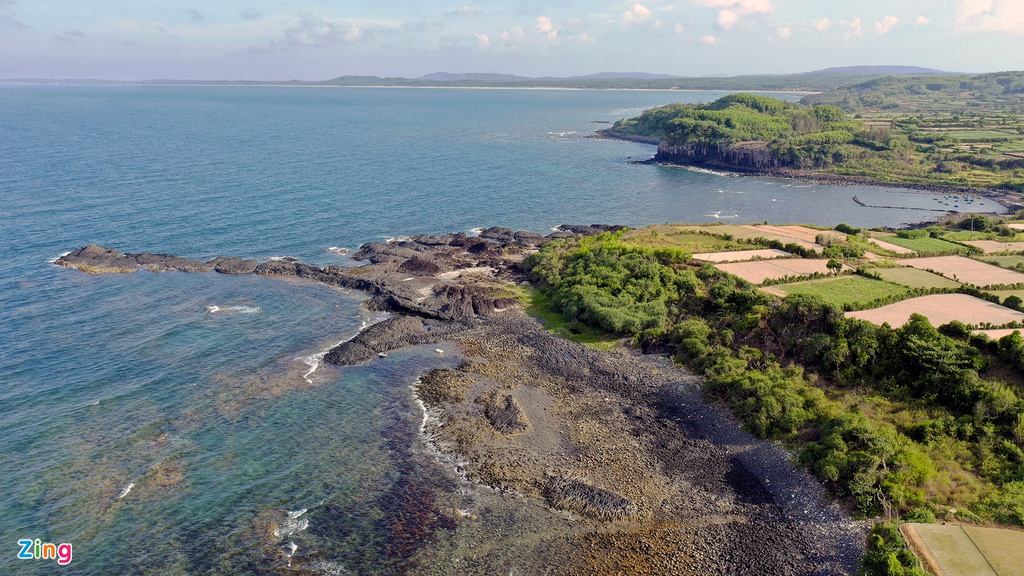 unique open air coral forest on the middle coast of vietnam