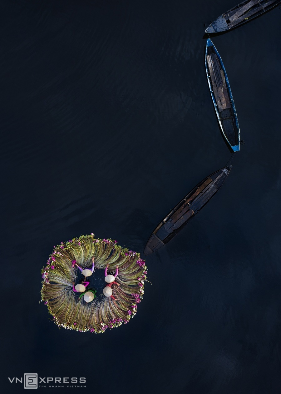 Water lilies in Vietnam's Southwest pose a tranquil painting of nature 3744 lo