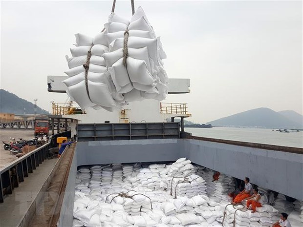 asian rice market vietnam pushes the peak of export price