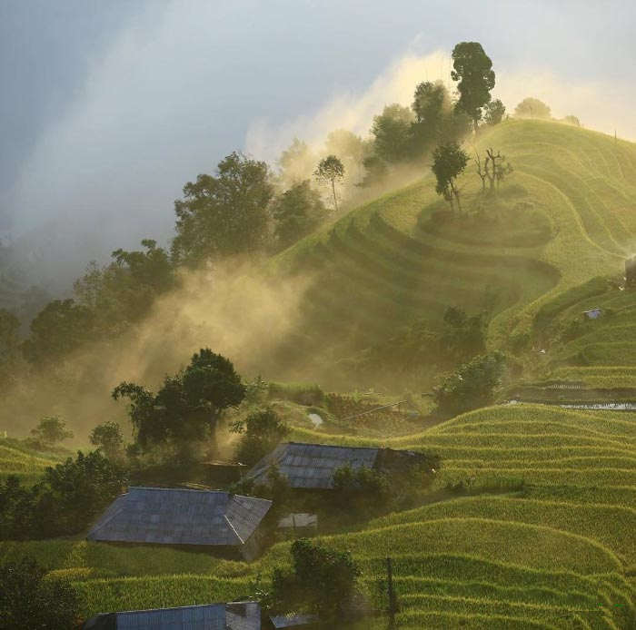impressive hoang su phi cloudy wallowing in wait for your enjoyment
