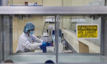 Sharing experience, the key factor for THP Group's development Product