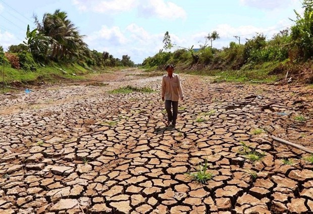Vietnam's Mekong Delta is facing severe drought and critical inland salination at the same time.(Photo: VNA) 0602 pm2