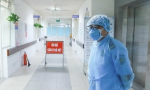 coronavirus misinformation should be stopped from spreading on the internet